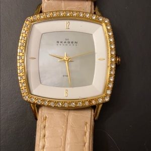 Skagen Watch
